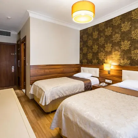 My Rose Hotel