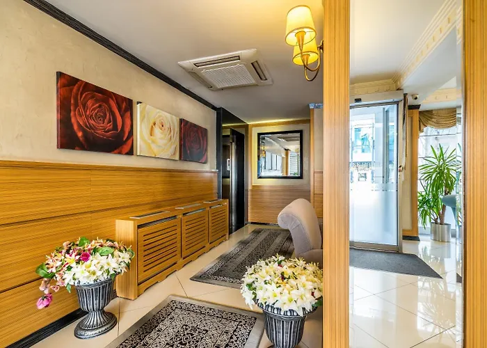 فندق ماي روز 3*