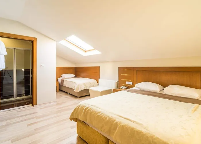 فندق ماي روز 3*