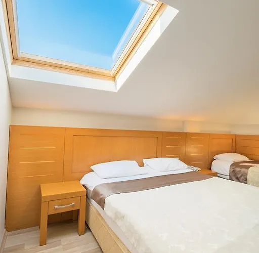 فندق ماي روز