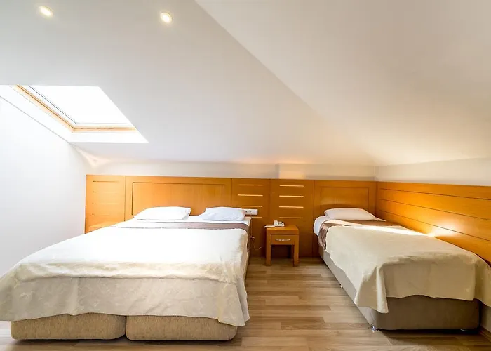 ماي روز فندق