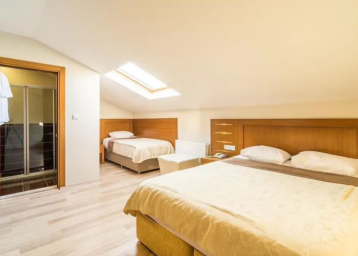 فندق ماي روز 3*